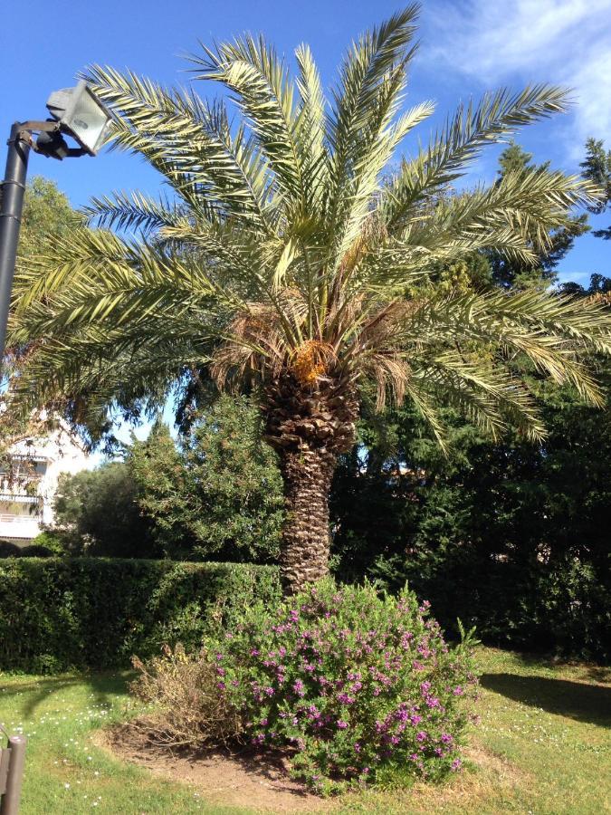 Apartment Eden Saint Tropez Eksteriør bilde